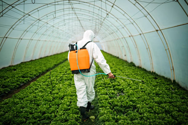 Pest Control Cost in Littlerock, CA