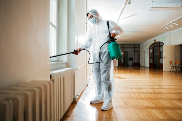 Best Pest Control Near Me  in Littlerock, CA